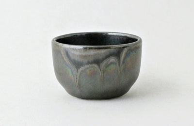 Minoyaki Japanese Ceramic Sake Serving Set 2 Cups and Server (Made in Japan)